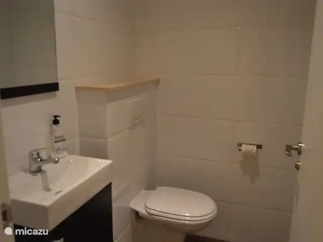 Seperate toilet